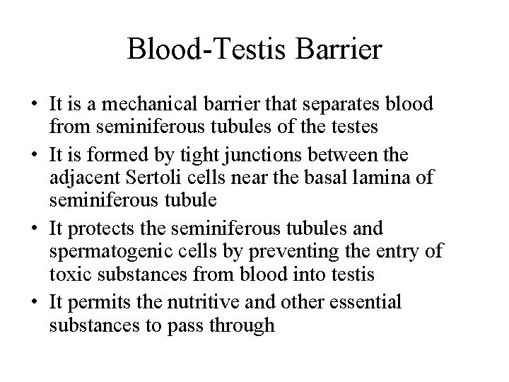 Blood-Testis Barrier • It is a mechanical barrier that separates blood from seminiferous tubules