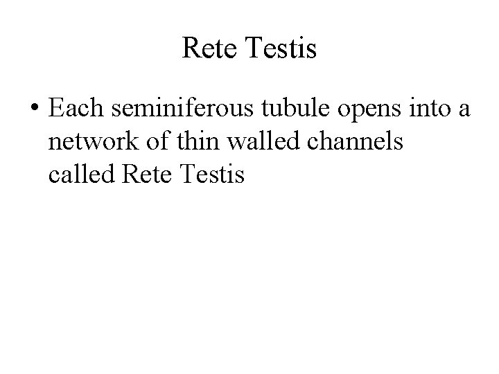 Rete Testis • Each seminiferous tubule opens into a network of thin walled channels