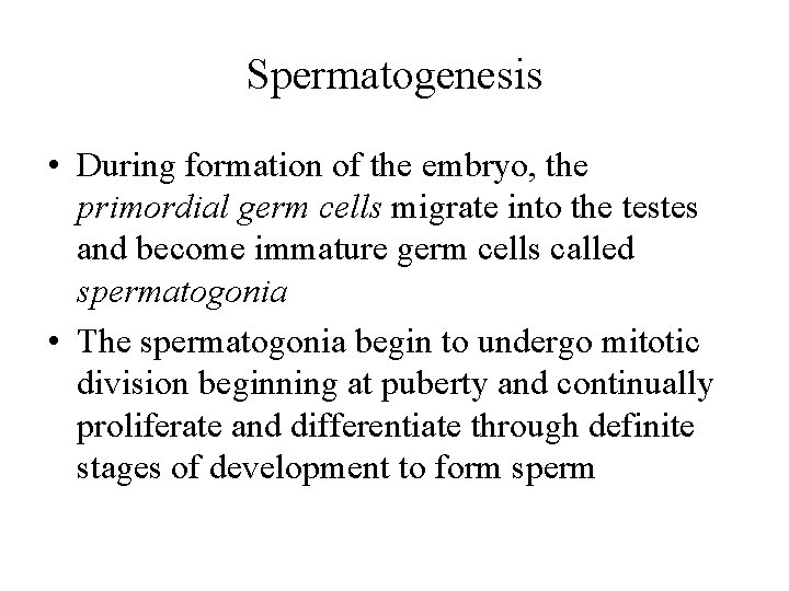 Spermatogenesis • During formation of the embryo, the primordial germ cells migrate into the