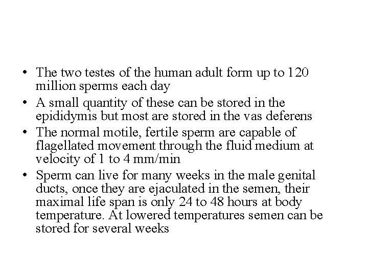  • The two testes of the human adult form up to 120 million