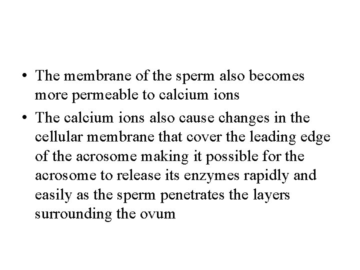  • The membrane of the sperm also becomes more permeable to calcium ions