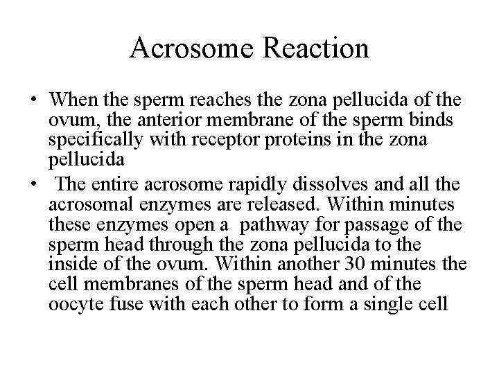 Acrosome Reaction • When the sperm reaches the zona pellucida of the ovum, the