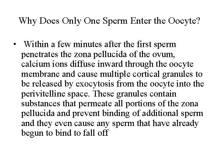 Why Does Only One Sperm Enter the Oocyte? • Within a few minutes after