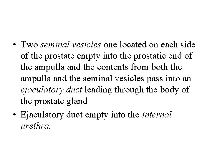  • Two seminal vesicles one located on each side of the prostate empty
