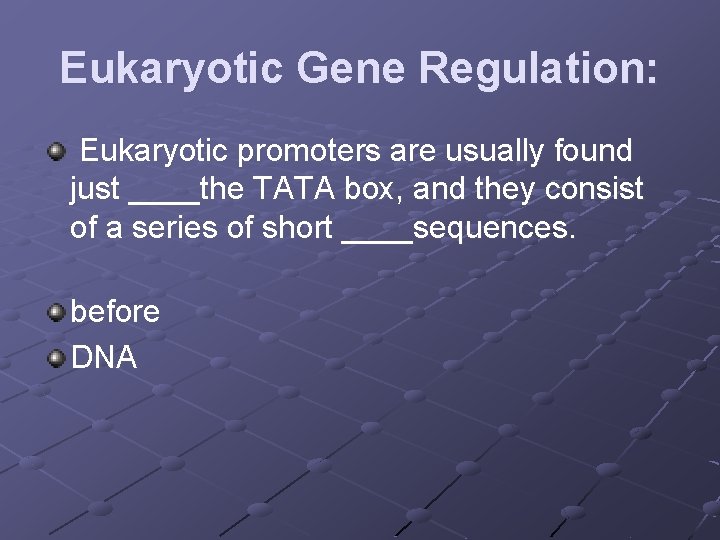 Eukaryotic Gene Regulation: Eukaryotic promoters are usually found just ____the TATA box, and they