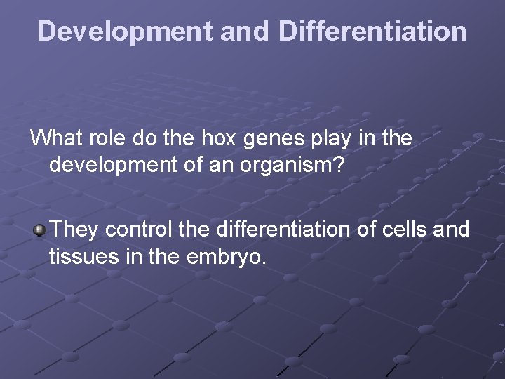 Development and Differentiation What role do the hox genes play in the development of