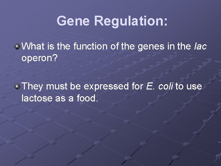 Gene Regulation: What is the function of the genes in the lac operon? They