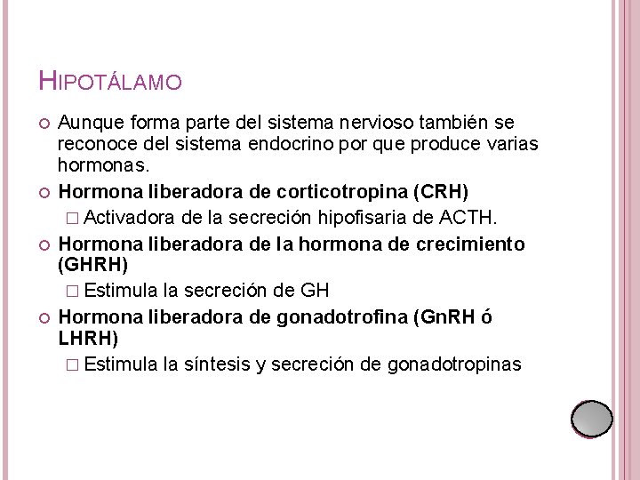 HIPOTÁLAMO Aunque forma parte del sistema nervioso también se reconoce del sistema endocrino por HIPOTÁLAMO Aunque forma parte del sistema nervioso también se reconoce del sistema endocrino por