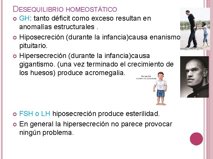 DESEQUILIBRIO HOMEOSTÁTICO GH: tanto déficit como exceso resultan en anomalías estructurales. Hiposecreción (durante la DESEQUILIBRIO HOMEOSTÁTICO GH: tanto déficit como exceso resultan en anomalías estructurales. Hiposecreción (durante la