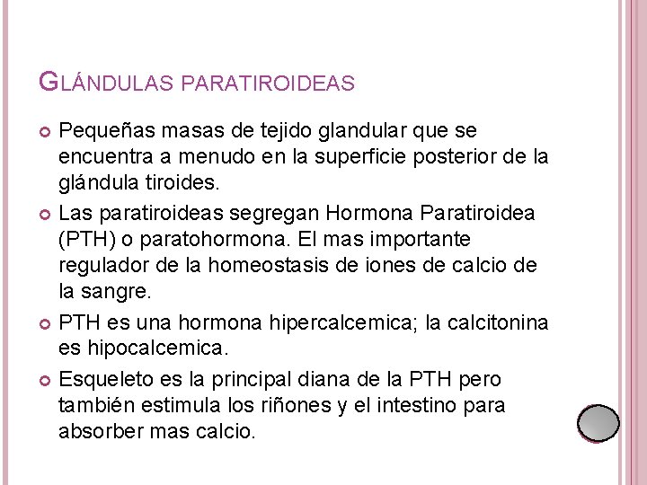 GLÁNDULAS PARATIROIDEAS Pequeñas masas de tejido glandular que se encuentra a menudo en la GLÁNDULAS PARATIROIDEAS Pequeñas masas de tejido glandular que se encuentra a menudo en la