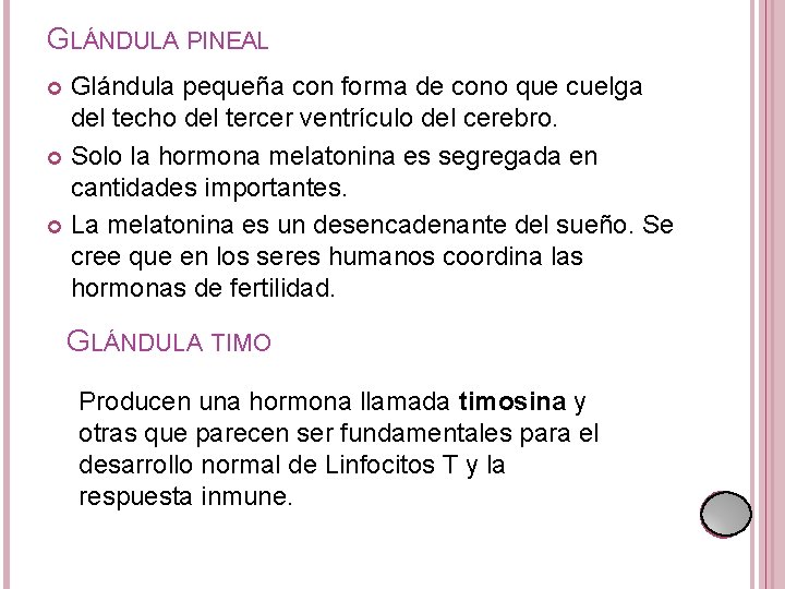 GLÁNDULA PINEAL Glándula pequeña con forma de cono que cuelga del techo del tercer GLÁNDULA PINEAL Glándula pequeña con forma de cono que cuelga del techo del tercer