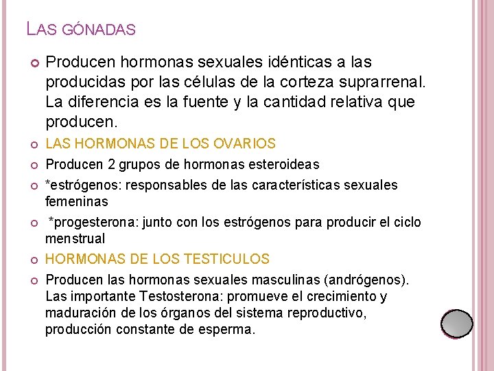 LAS GÓNADAS Producen hormonas sexuales idénticas a las producidas por las células de la LAS GÓNADAS Producen hormonas sexuales idénticas a las producidas por las células de la