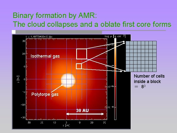 Binary formation by AMR: The cloud collapses and a oblate first core forms Isothermal