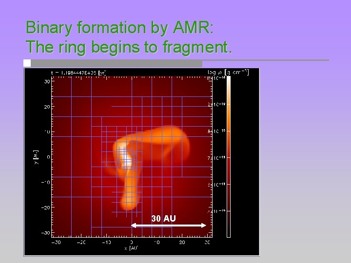 Binary formation by AMR: The ring begins to fragment. 30 AU 