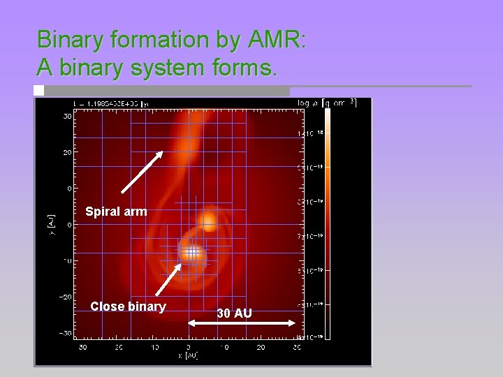 Binary formation by AMR: A binary system forms. Spiral arm Close binary 30 AU