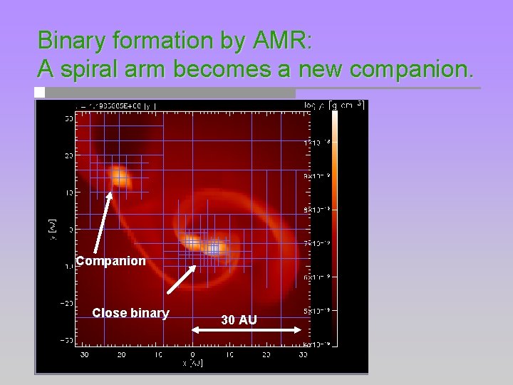 Binary formation by AMR: A spiral arm becomes a new companion. Companion Close binary