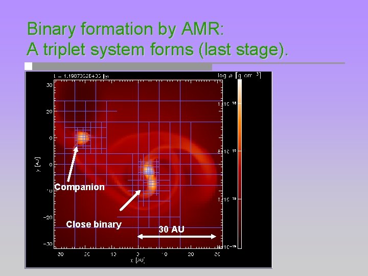 Binary formation by AMR: A triplet system forms (last stage). Companion Close binary 30