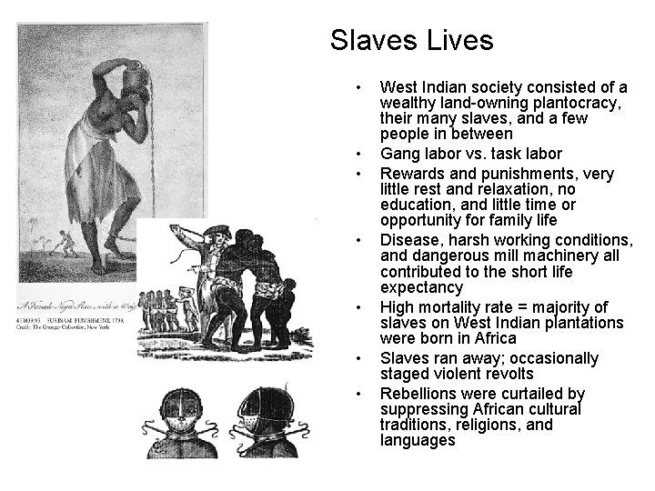 Slaves Lives • • West Indian society consisted of a wealthy land-owning plantocracy, their