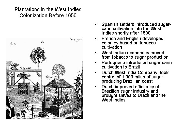 Plantations in the West Indies Colonization Before 1650 • • • Spanish settlers introduced