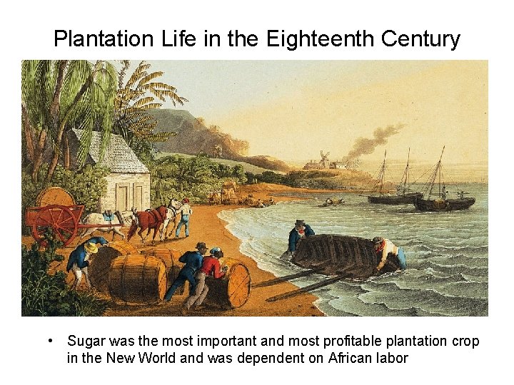 Plantation Life in the Eighteenth Century • Sugar was the most important and most