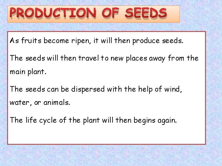 PRODUCTION OF SEEDS As fruits become ripen, it will then produce seeds. The seeds
