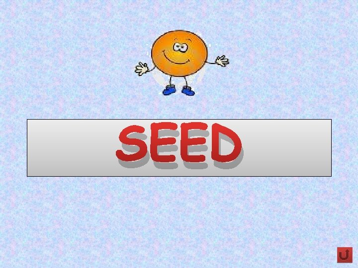 SEED 