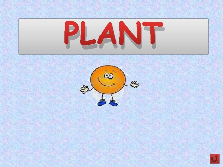 PLANT 