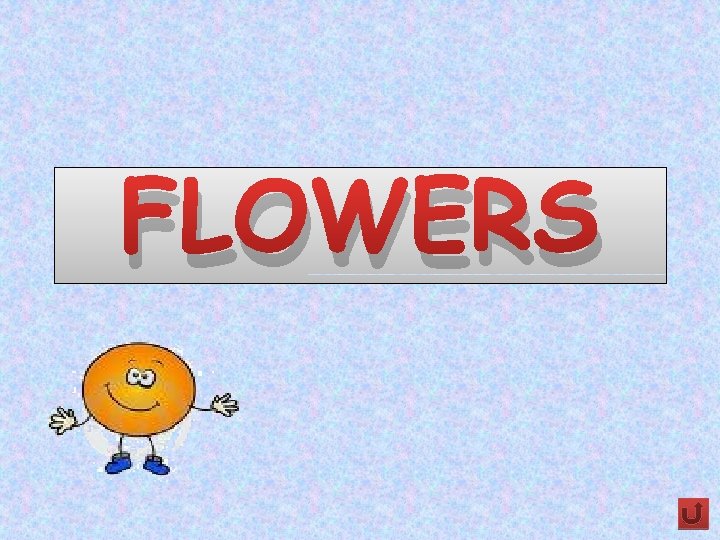 FLOWERS 