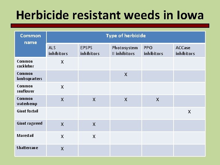Herbicide resistant weeds in Iowa Common name Common cocklebur Type of herbicide ALS inhibitors