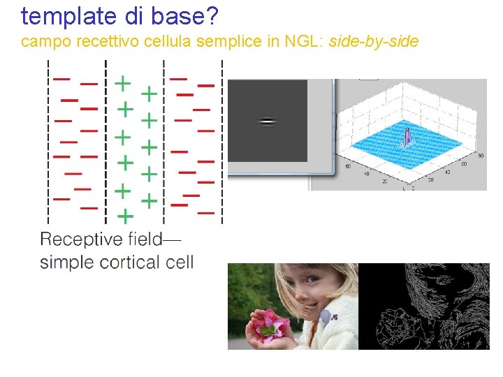 template di base? campo recettivo cellula semplice in NGL: side-by-side 