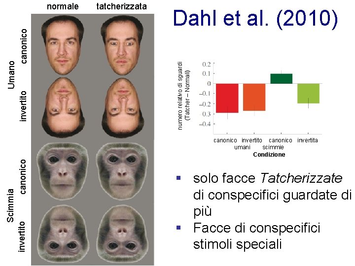 tatcherizzata Dahl et al. (2010) numero relativo di sguardi (Tatcher – Normali) Umano invertito