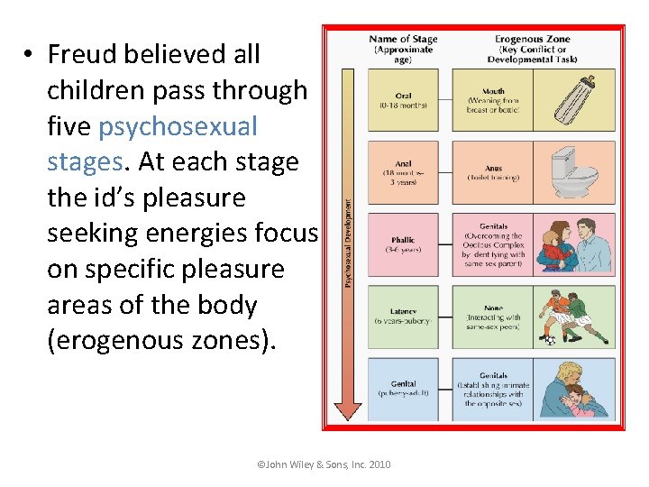  • Freud believed all children pass through five psychosexual stages. At each stage