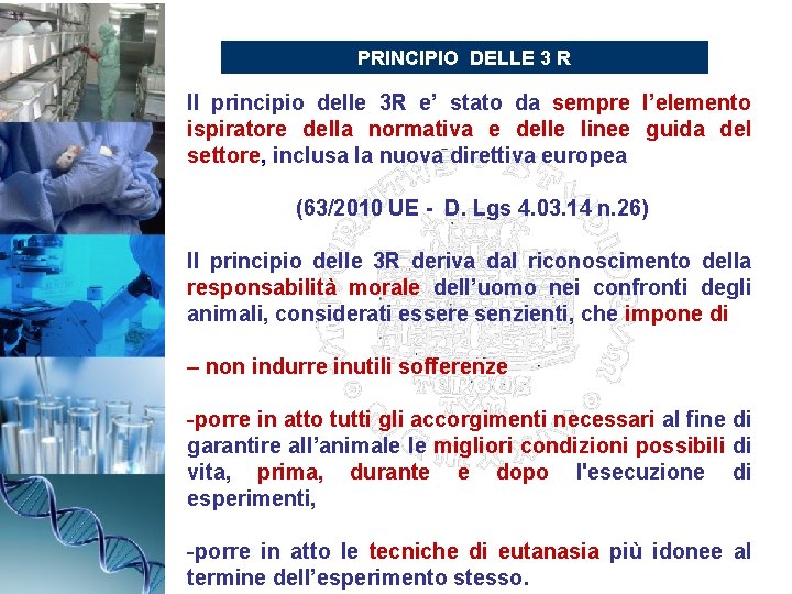 PRINCIPIO DELLE 3 R Il principio delle 3 R e’ stato da sempre l’elemento