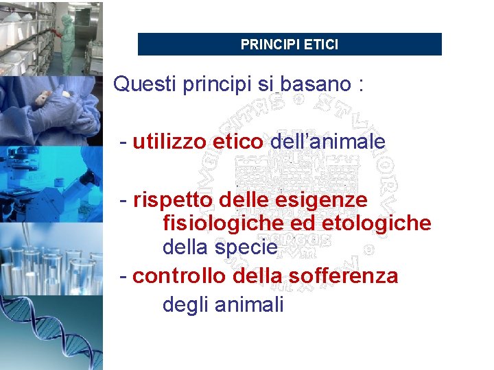 PRINCIPI ETICI Questi principi si basano : - utilizzo etico dell’animale - rispetto delle