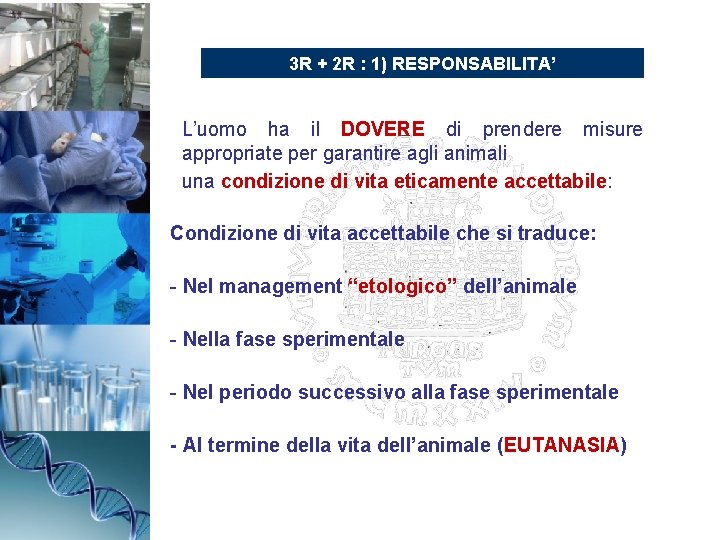 3 R + 2 R : 1) RESPONSABILITA’ L’uomo ha il DOVERE di prendere