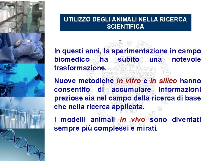 UTILIZZO DEGLI ANIMALI NELLA RICERCA SCIENTIFICA In questi anni, la sperimentazione in campo biomedico