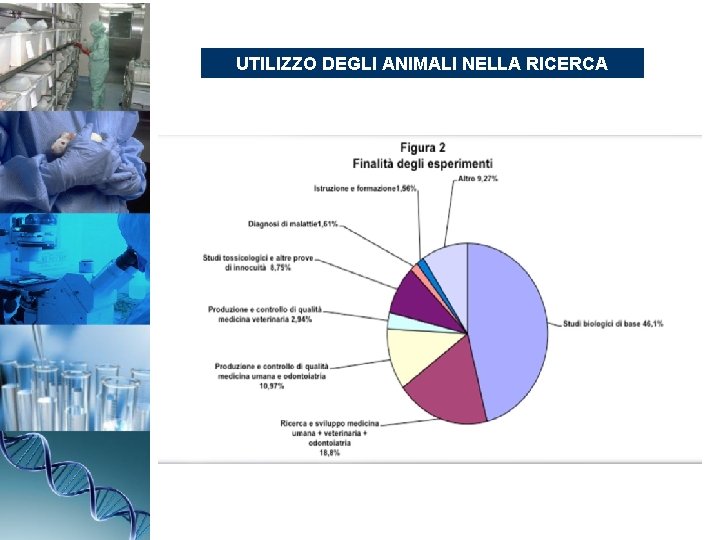 UTILIZZO DEGLI ANIMALI NELLA RICERCA 