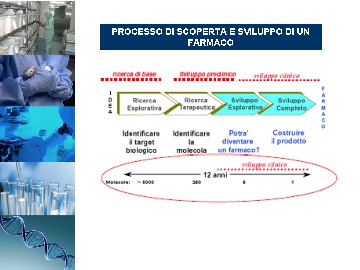 PROCESSO DI SCOPERTA E SVILUPPO DI UN FARMACO 