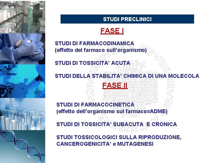 STUDI PRECLINICI FASE I STUDI DI FARMACODINAMICA (effetto del farmaco sull’organismo) STUDI DI TOSSICITA’