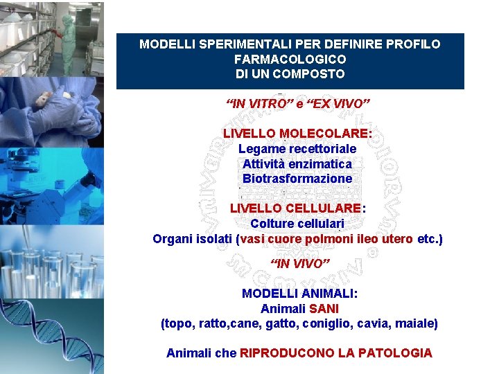 MODELLI SPERIMENTALI PER DEFINIRE PROFILO FARMACOLOGICO DI UN COMPOSTO “IN VITRO” e “EX VIVO”