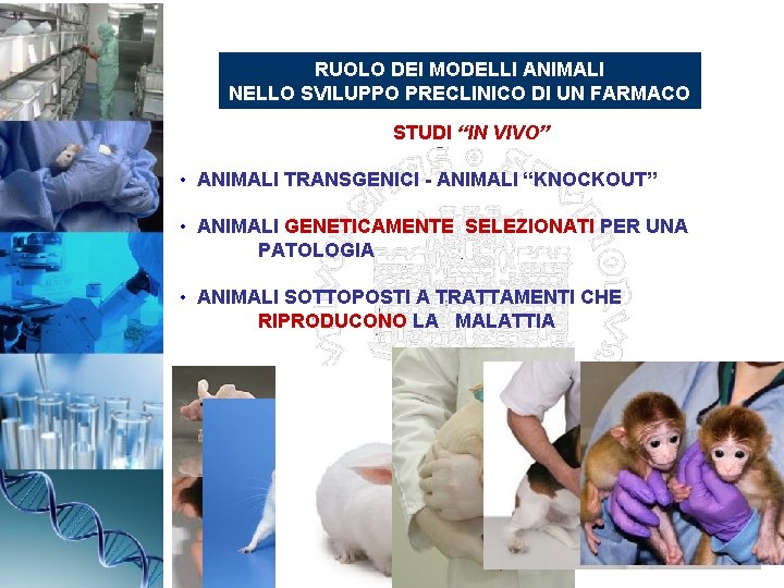 RUOLO DEI MODELLI ANIMALI NELLO SVILUPPO PRECLINICO DI UN FARMACO STUDI “IN VIVO” •