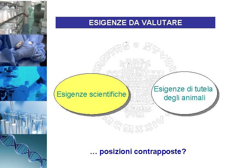 ESIGENZE DA VALUTARE Esigenze scientifiche Esigenze di tutela degli animali … posizioni contrapposte? 