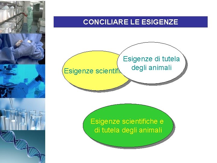 CONCILIARE LE ESIGENZE Esigenze di tutela Esigenze scientifichedegli animali Esigenze scientifiche e di tutela