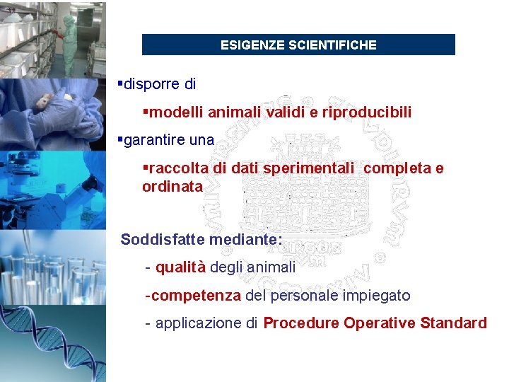 ESIGENZE SCIENTIFICHE §disporre di §modelli animali validi e riproducibili §garantire una §raccolta di dati