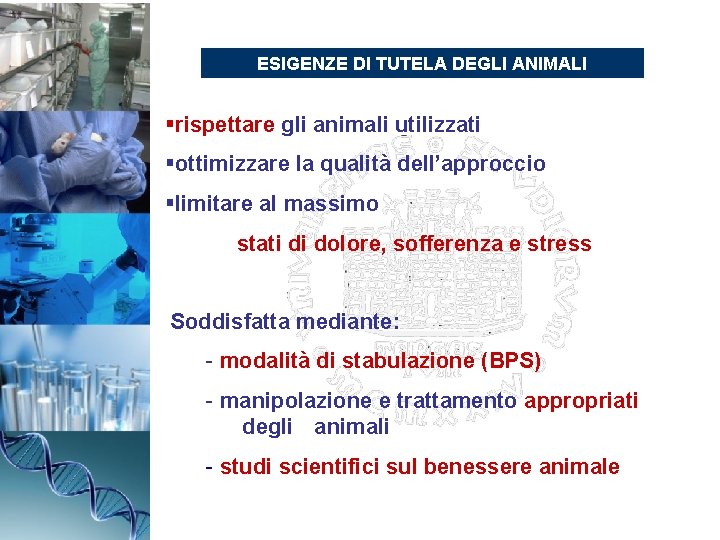 ESIGENZE DI TUTELA DEGLI ANIMALI §rispettare gli animali utilizzati §ottimizzare la qualità dell’approccio §limitare