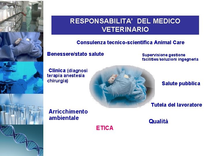 RESPONSABILITA’ DEL MEDICO VETERINARIO Consulenza tecnico-scientifica Animal Care Benessere/stato salute Supervisione gestione facilities/soluzioni ingegneria