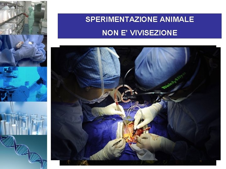 SPERIMENTAZIONE ANIMALE NON E’ VIVISEZIONE 