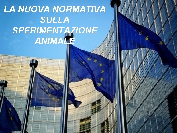 LA NUOVA NORMATIVA SULLA SPERIMENTAZIONE ANIMALE 