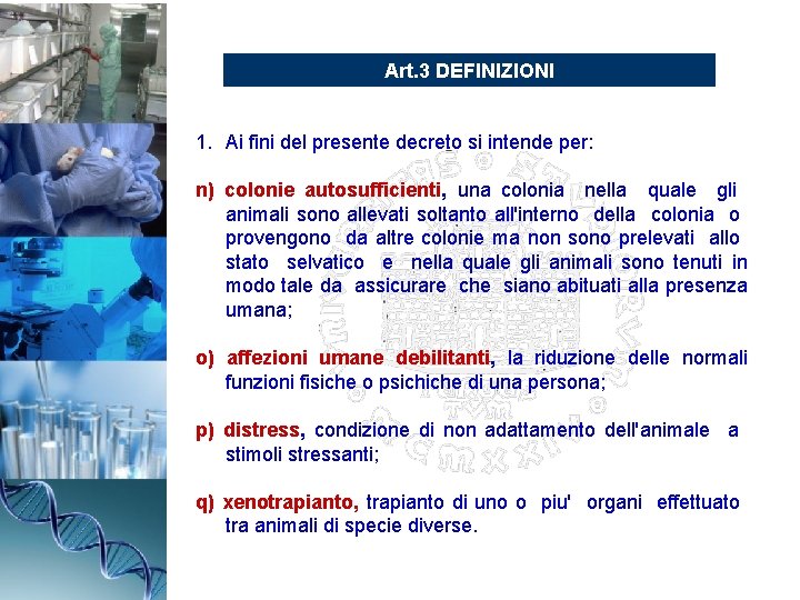 Art. 3 DEFINIZIONI 1. Ai fini del presente decreto si intende per: n) colonie