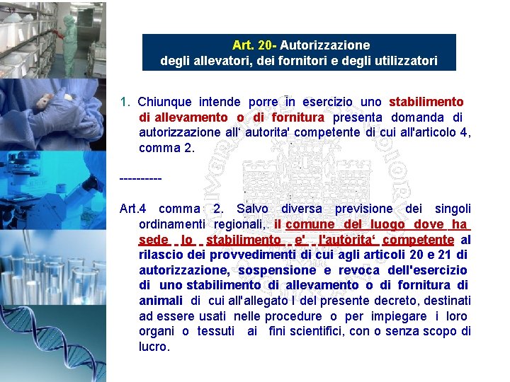 Art. 20 - Autorizzazione degli allevatori, dei fornitori e degli utilizzatori 1. Chiunque intende